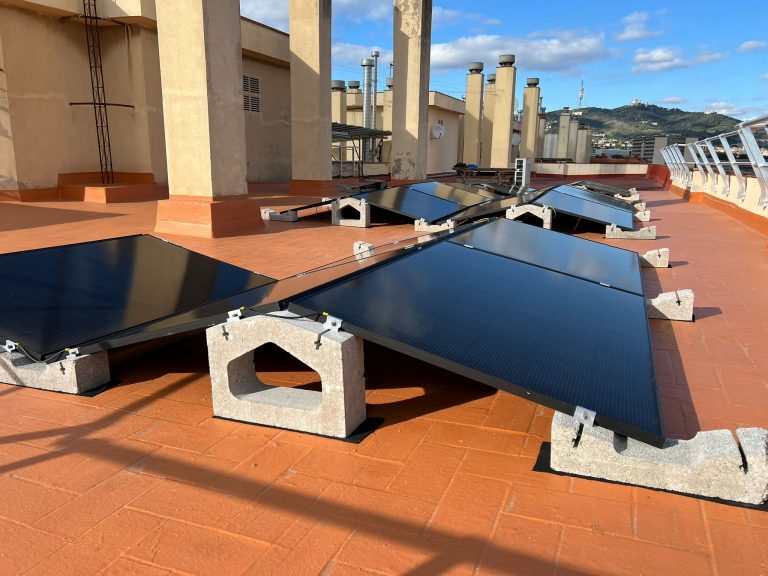 Cardenal Reig vista collesreola